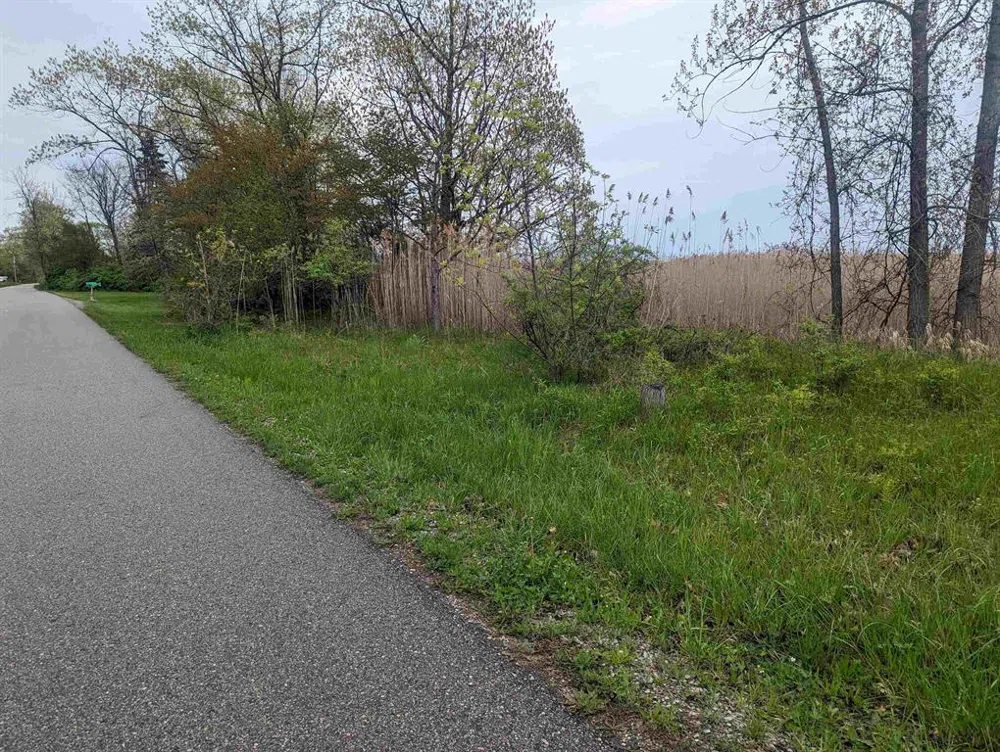 Michigan Avenue Sims Township, MI 48703