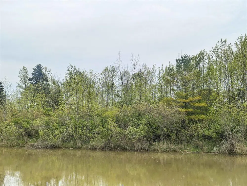 Michigan Avenue Sims Township, MI 48703