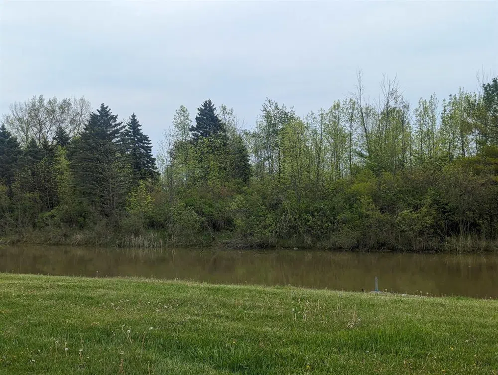 Michigan Avenue Sims Township, MI 48703