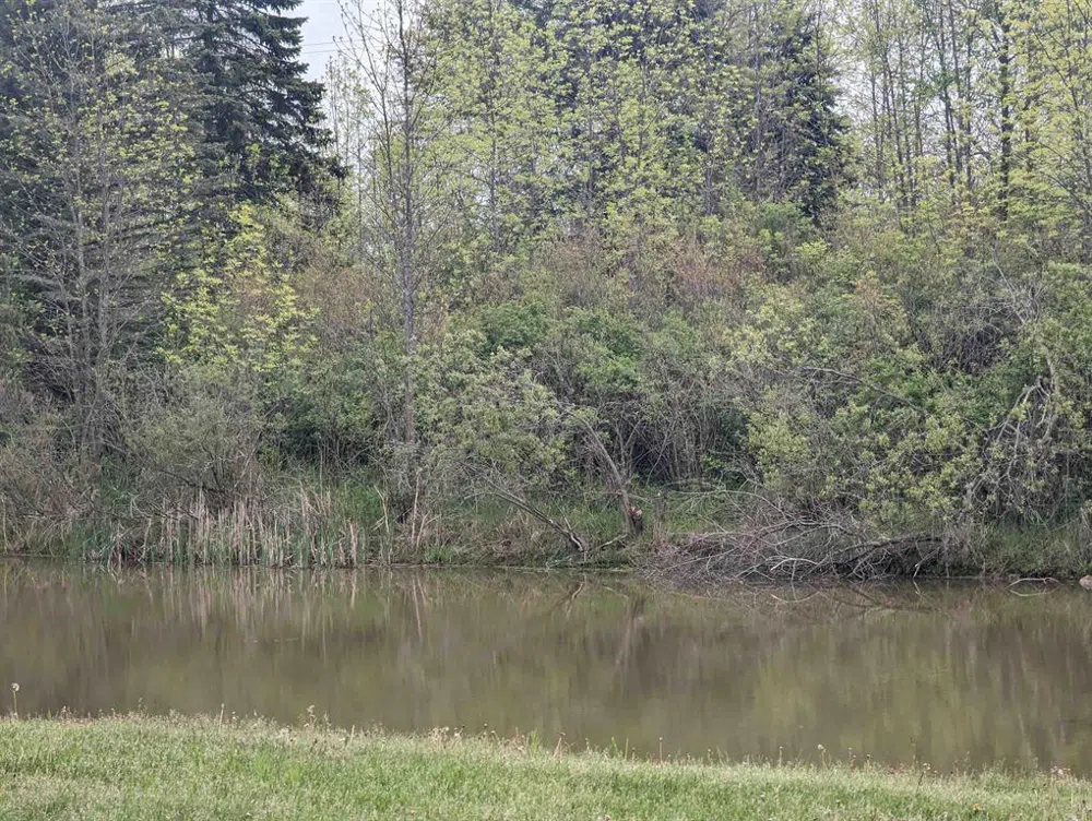 Michigan Avenue Sims Township, MI 48703