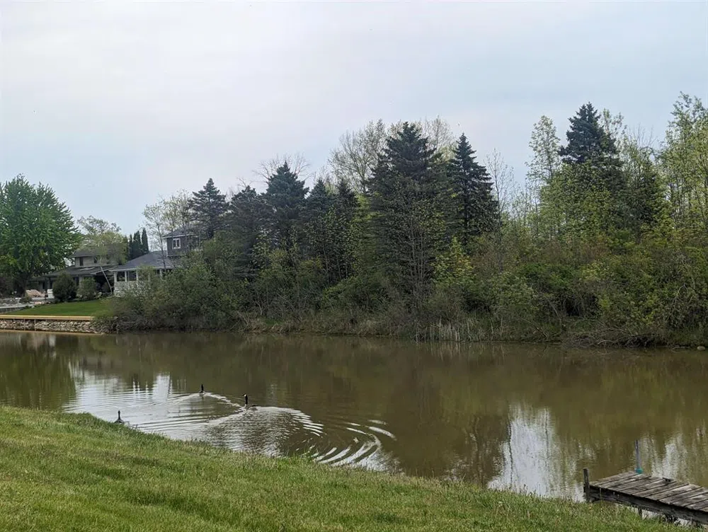 Michigan Avenue Sims Township, MI 48703