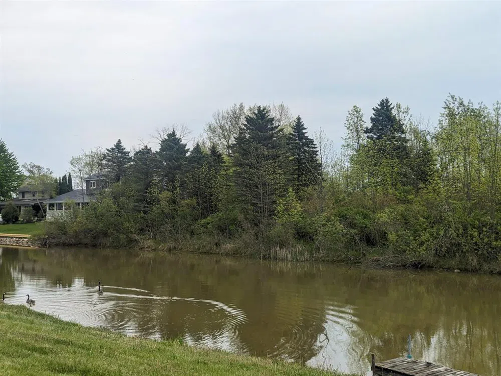 Michigan Avenue Sims Township, MI 48703