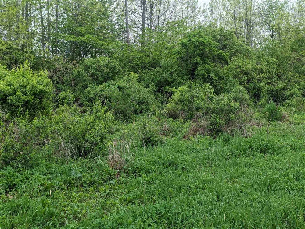 Michigan Avenue Sims Township, MI 48703