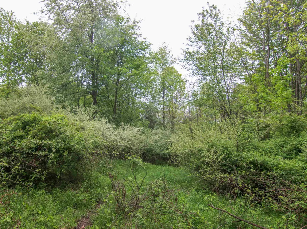 Ledgewood Ravine Trail Tyrone Township, MI 48430