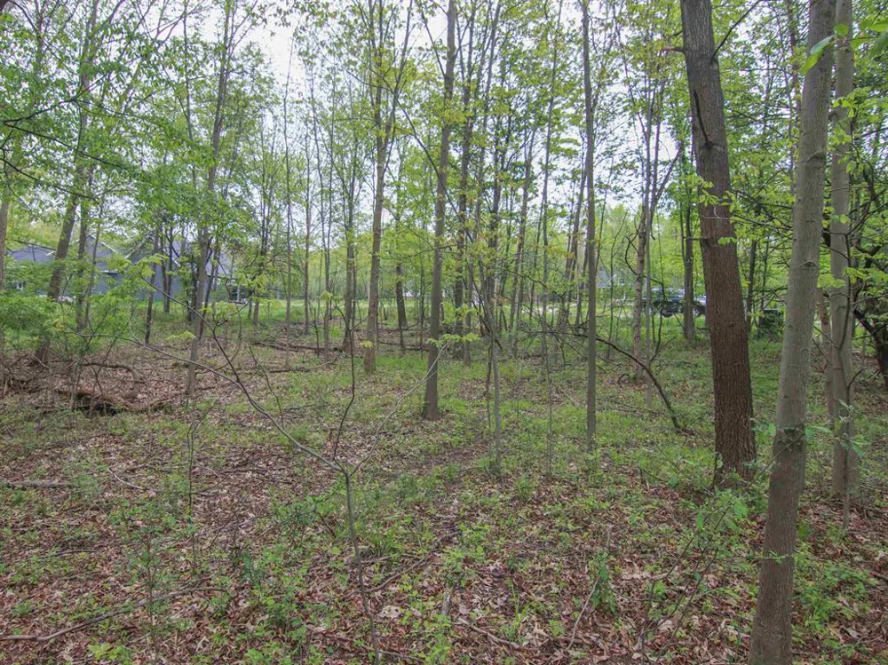 Ledgewood Ravine Trail Tyrone Township, MI 48430
