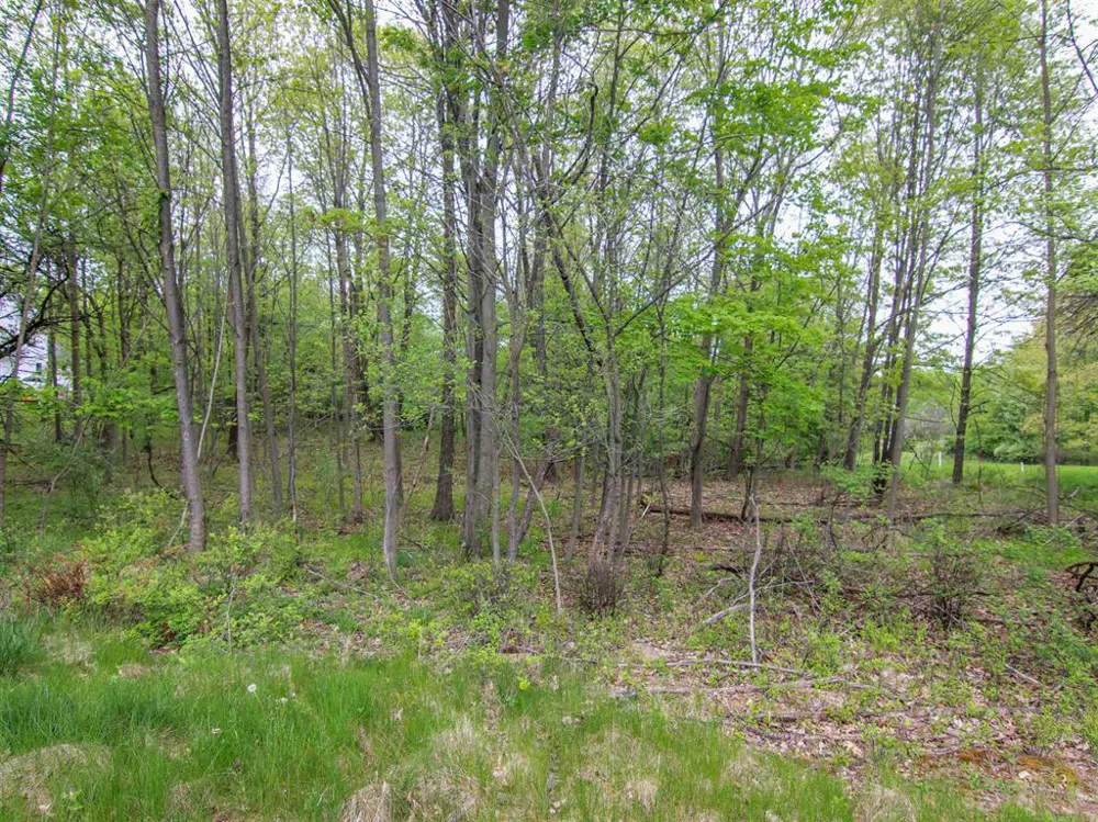 Ledgewood Ravine Trail Tyrone Township, MI 48430