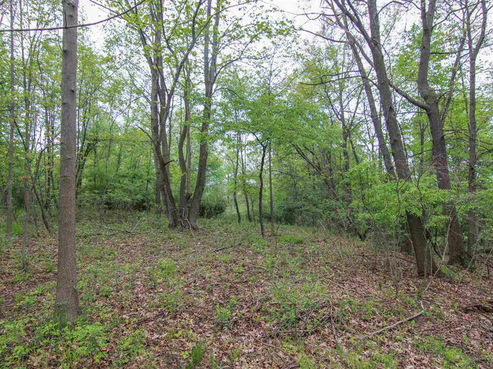 Ledgewood Ravine Trail Tyrone Township, MI 48430