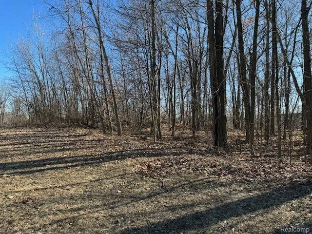 DUNCKEL ROAD Lansing City, MI 48910