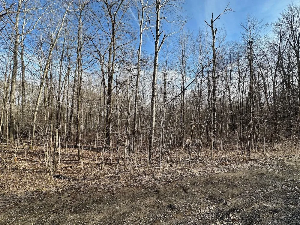 Dellwood Star Township, MI 49730