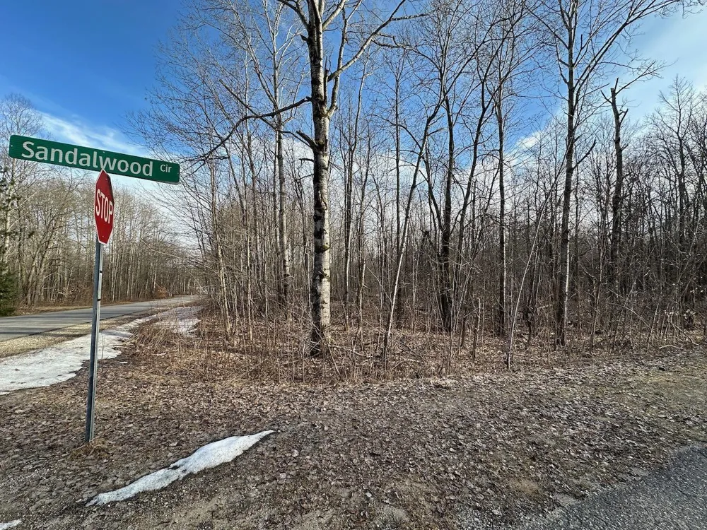 Dellwood Star Township, MI 49730