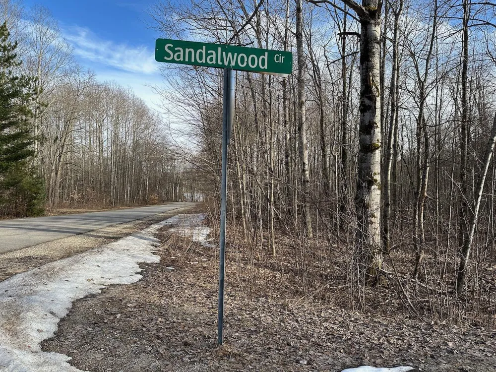 Dellwood Star Township, MI 49730