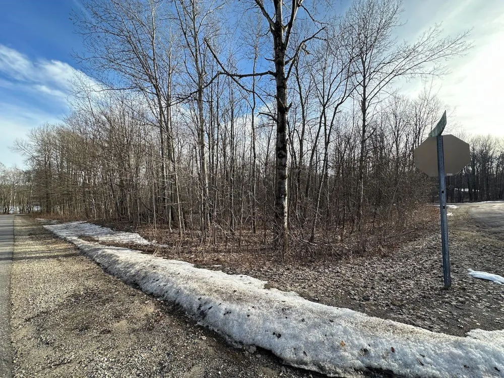 Dellwood Star Township, MI 49730