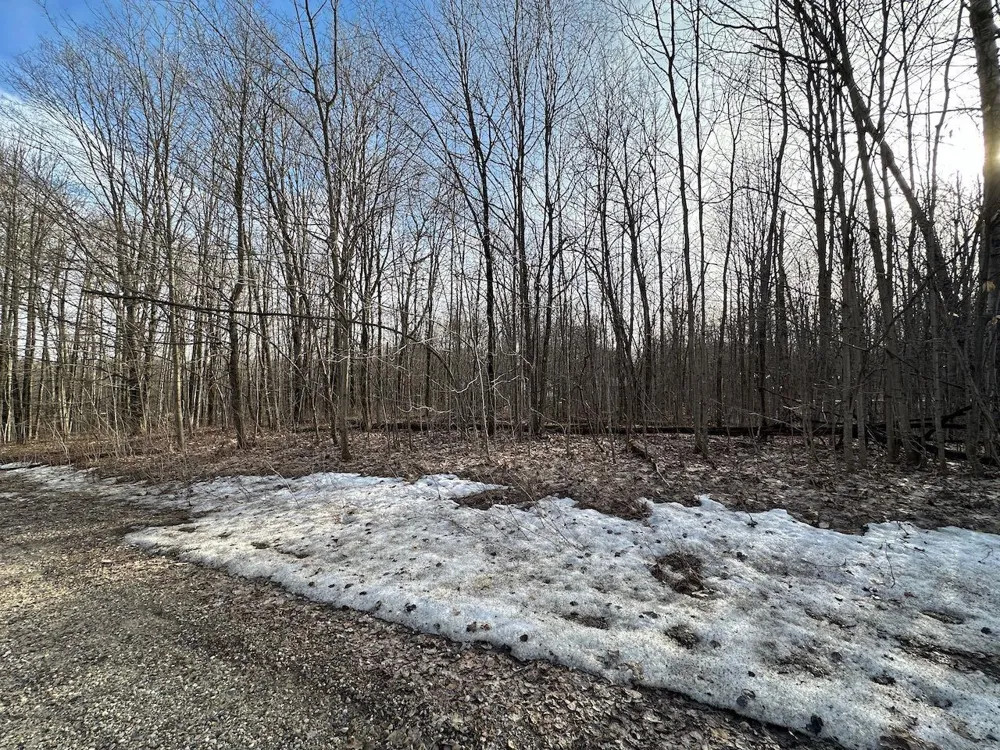 Dellwood Star Township, MI 49730