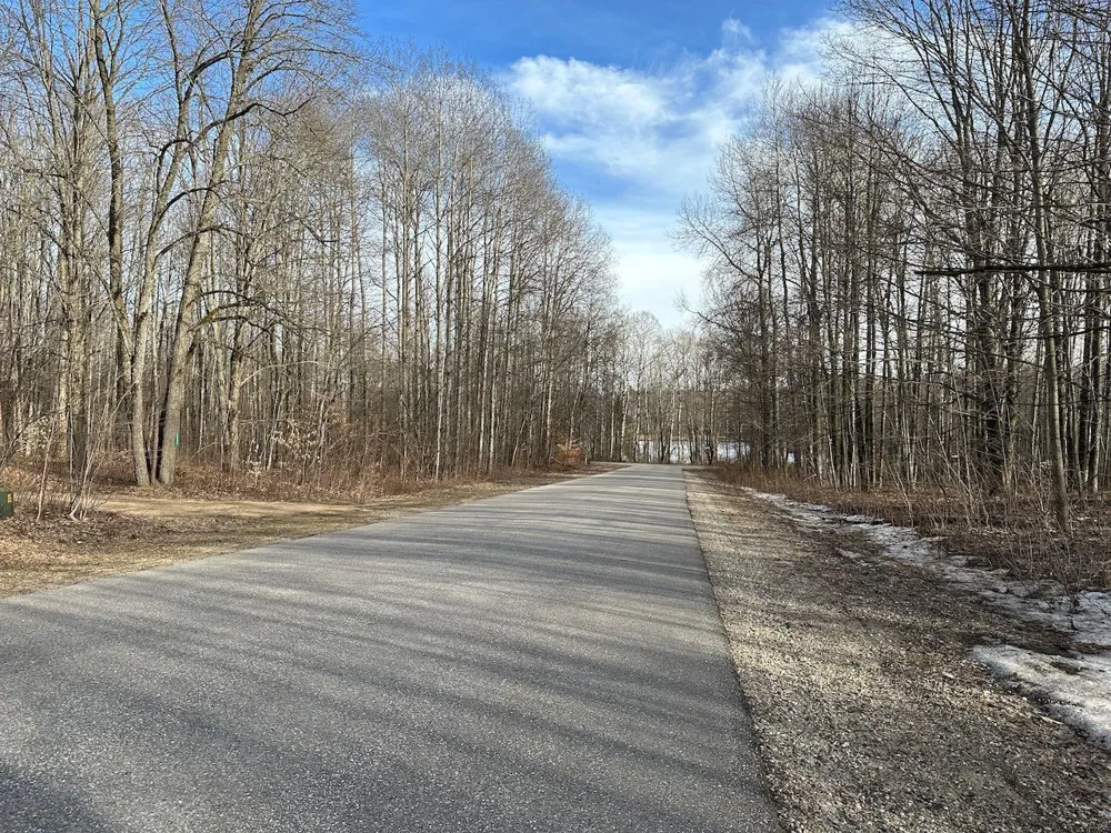 Dellwood Star Township, MI 49730