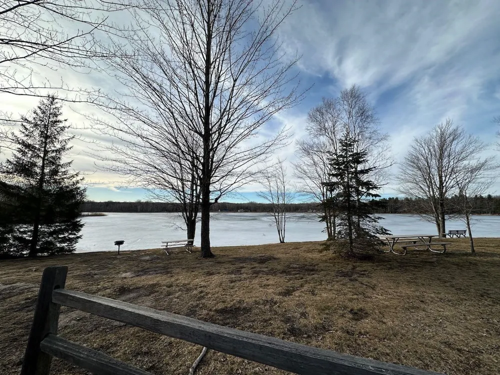 Dellwood Star Township, MI 49730