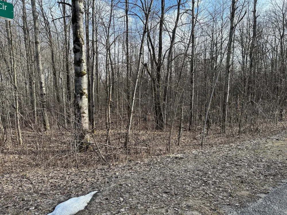 Dellwood Star Township, MI 49730