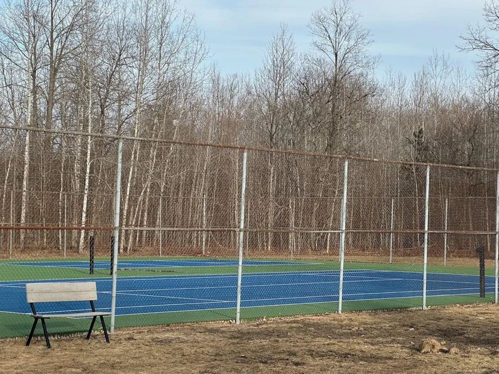 Dellwood Star Township, MI 49730