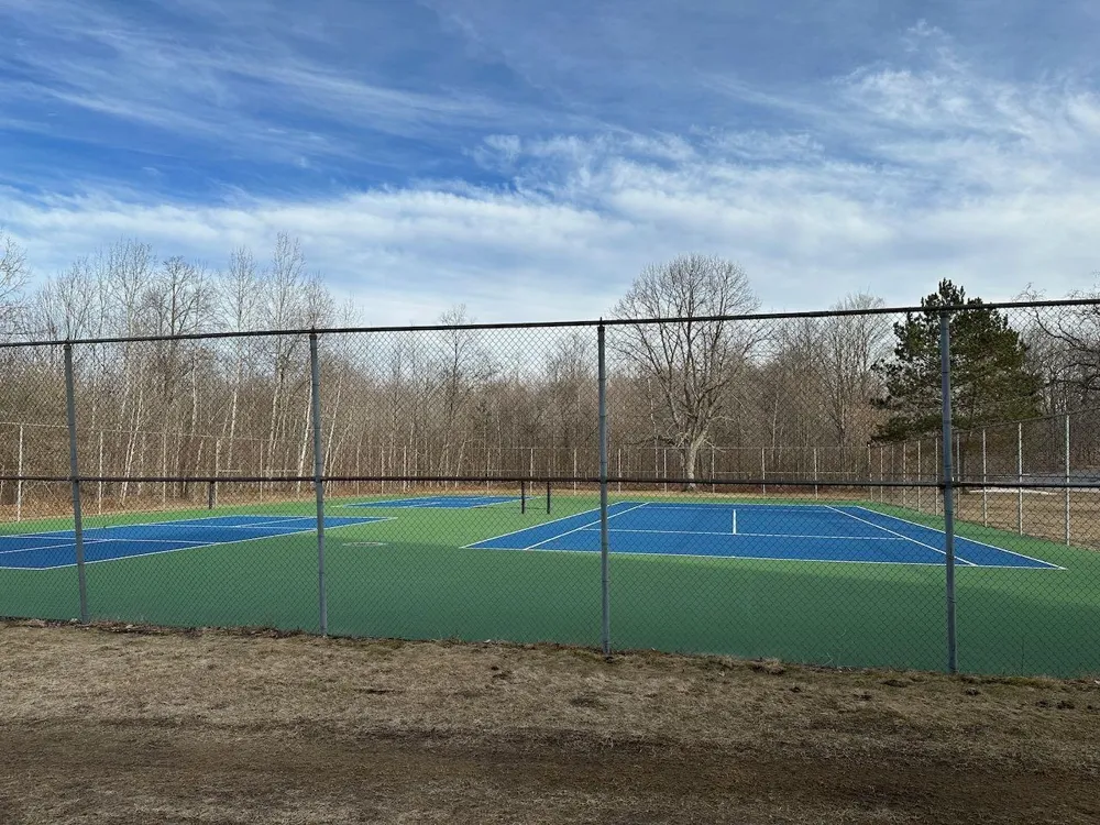 Dellwood Star Township, MI 49730