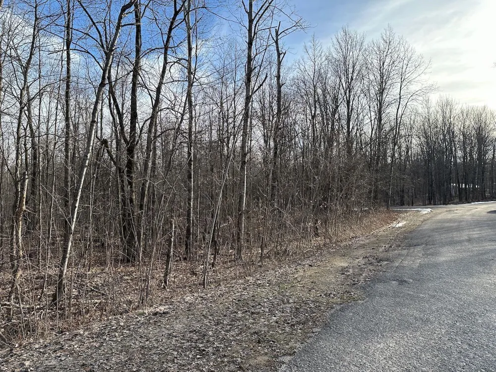 Dellwood Star Township, MI 49730