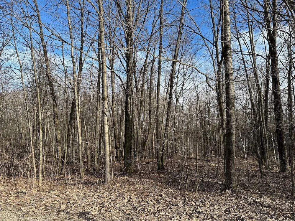 Dellwood Star Township, MI 49730