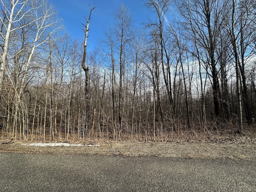 Dellwood Star Township, MI 49730