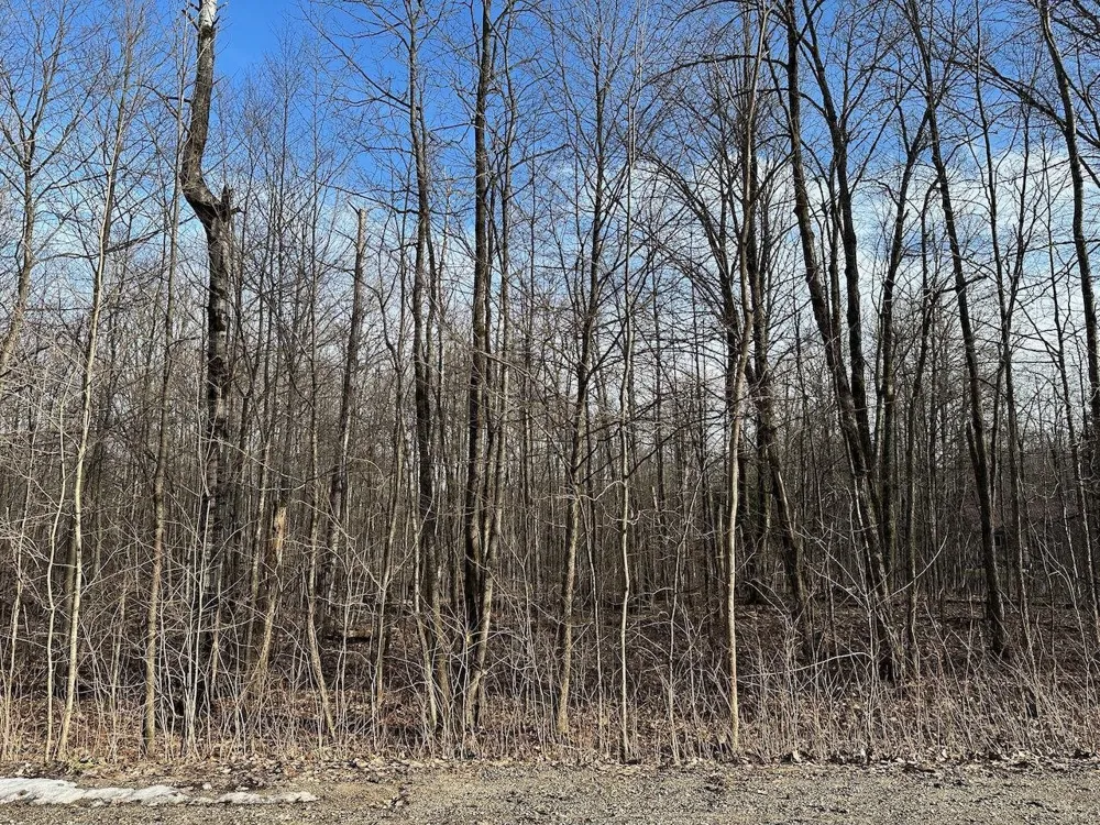 Dellwood Star Township, MI 49730