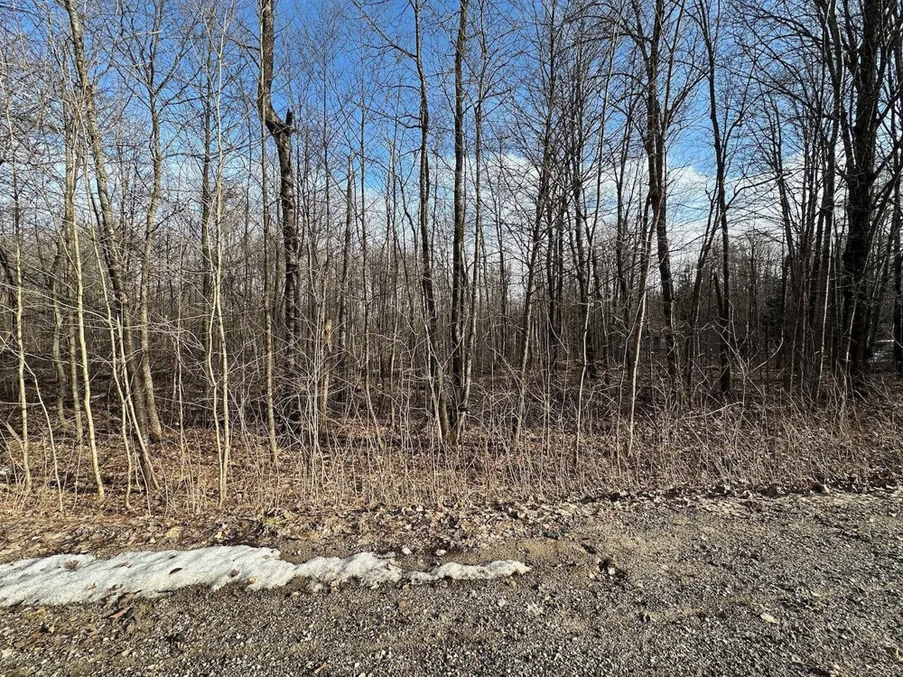 Dellwood Star Township, MI 49730