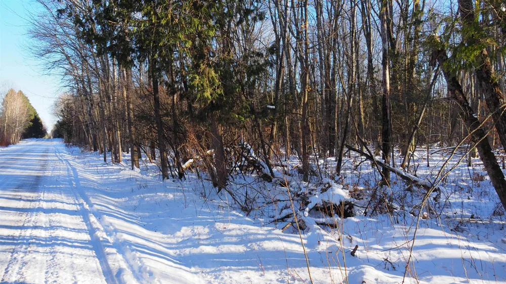 15991 Bentley Road Colfax Township, MI 49683