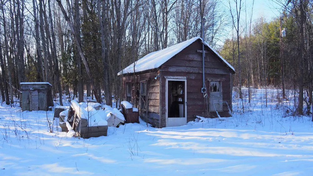 15991 Bentley Road Colfax Township, MI 49683