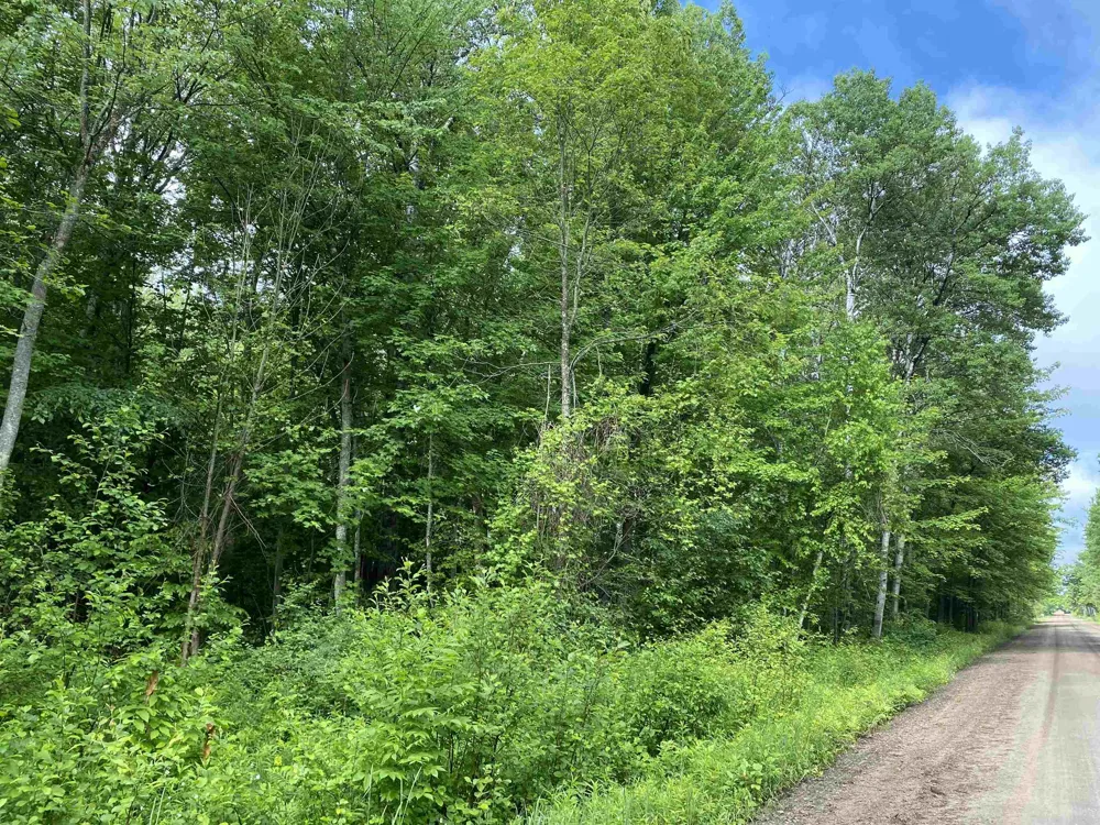 15991 Bentley Road Colfax Township, MI 49683