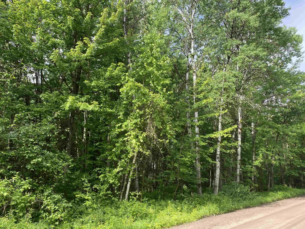 15991 Bentley Road Colfax Township, MI 49683