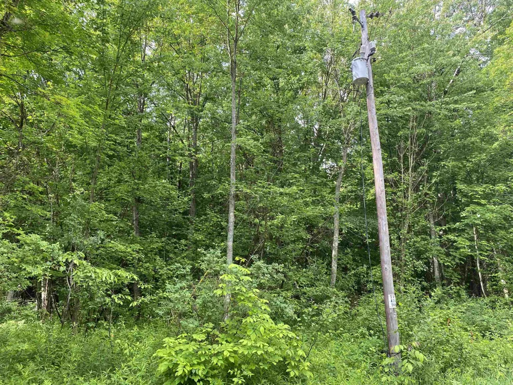 15991 Bentley Road Colfax Township, MI 49683