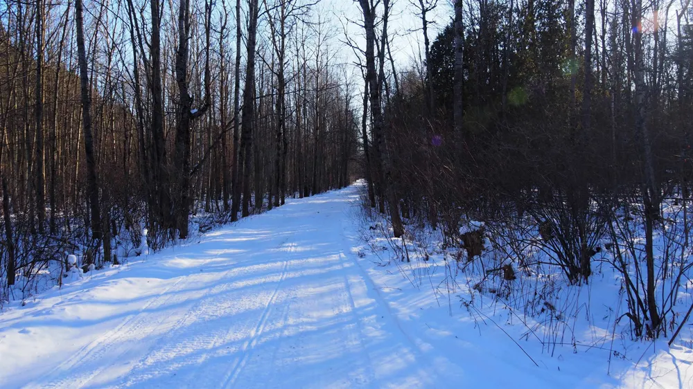 15991 Bentley Road Colfax Township, MI 49683