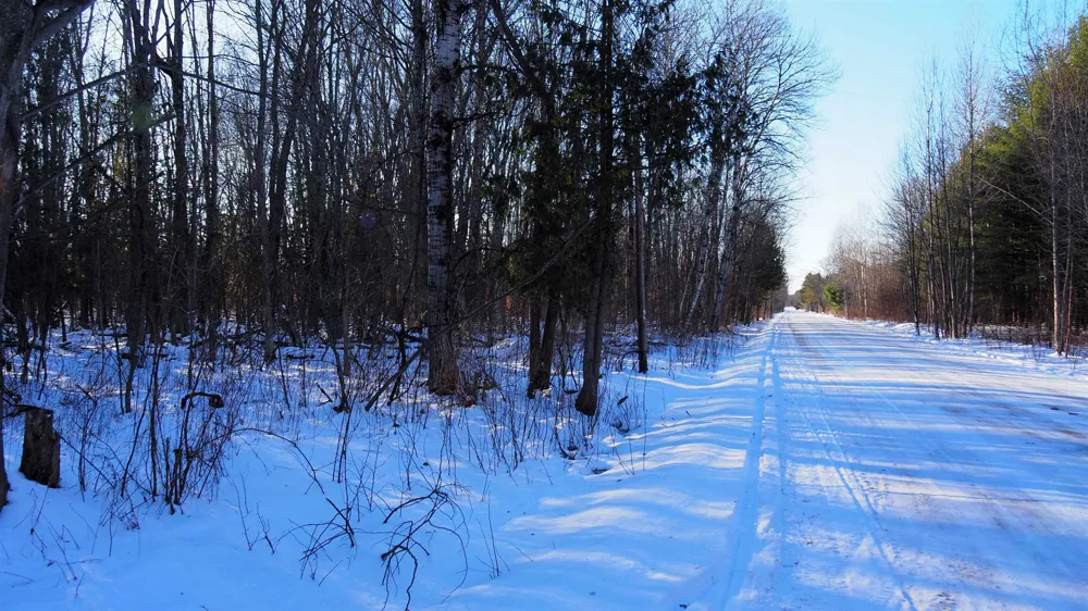 15991 Bentley Road Colfax Township, MI 49683