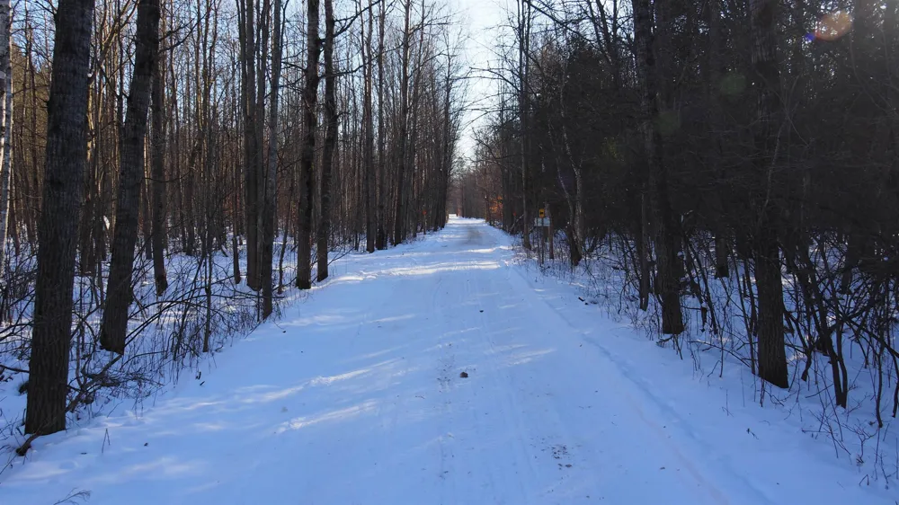 15991 Bentley Road Colfax Township, MI 49683