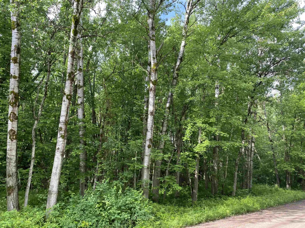 15991 Bentley Road Colfax Township, MI 49683