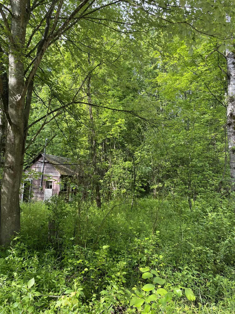 15991 Bentley Road Colfax Township, MI 49683