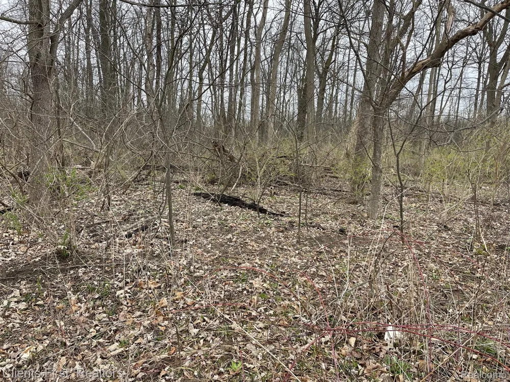 Ford Rd. Road Canton Charter Township, MI 48187