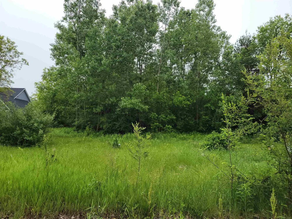 1375 Elm Street Vienna Charter Township, MI 48420