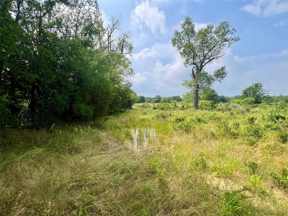 S. Ranch Dr. Graham, TX 76450