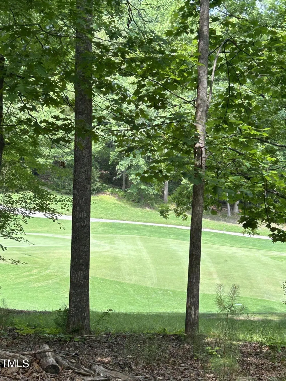 11467 Club Drive Chapel Hill, NC 27517