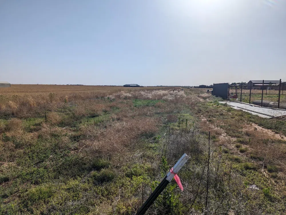 6713 N FM 179 Shallowater, TX 79363