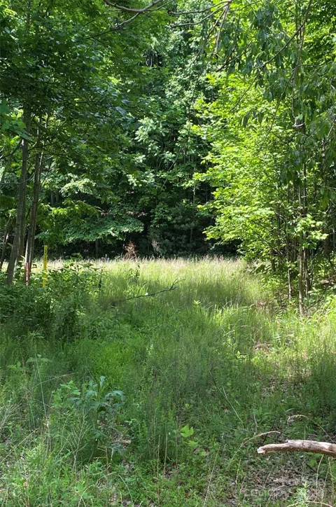 199 Cherry Hill