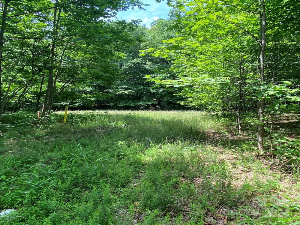 199 Cherry Hill Mill Spring, NC 28756