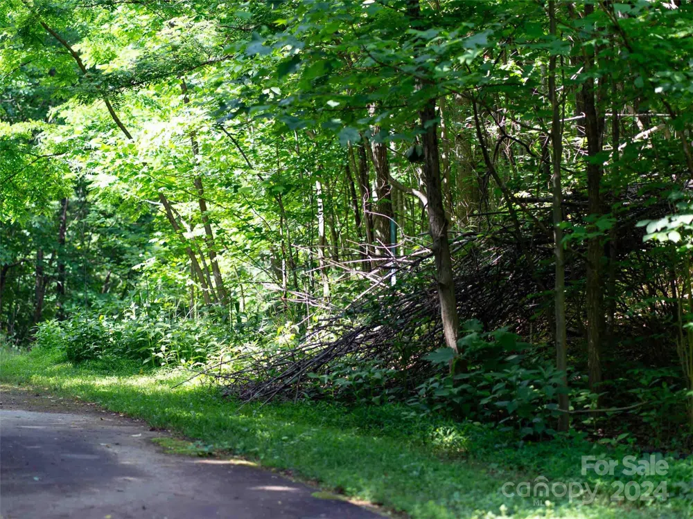 199 Cherry Hill Mill Spring, NC 28756