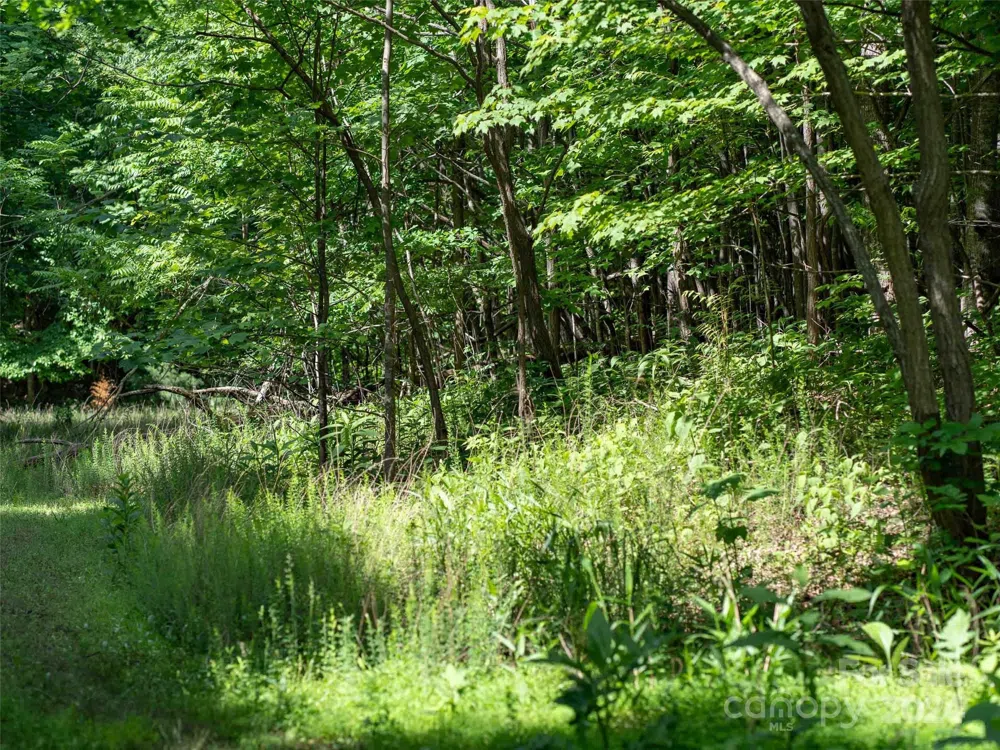 199 Cherry Hill Mill Spring, NC 28756