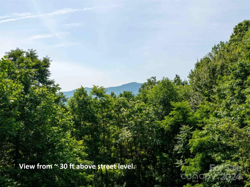 199 Cherry Hill Mill Spring, NC 28756