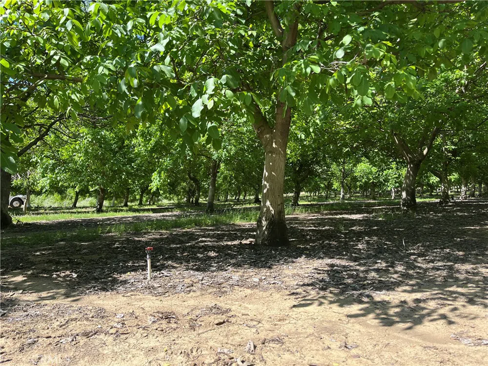 18525 Farquhar Road Cottonwood, CA 96022
