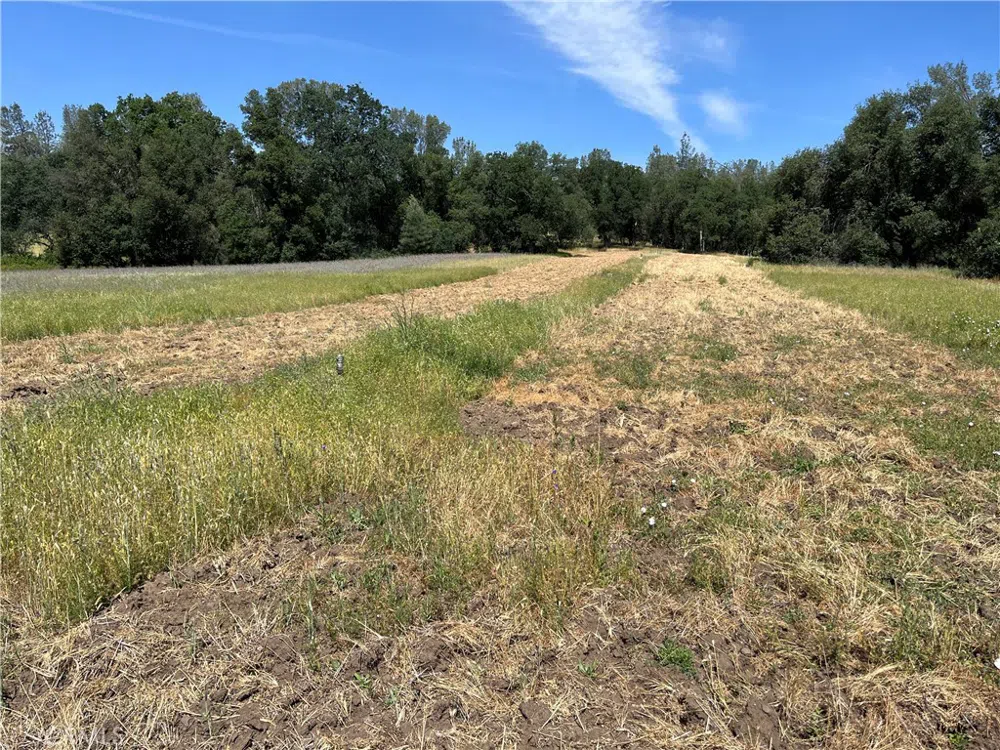 18525 Farquhar Road Cottonwood, CA 96022