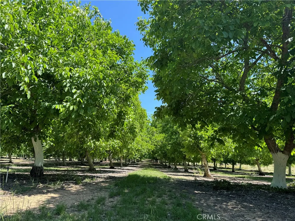 18525 Farquhar Road Cottonwood, CA 96022